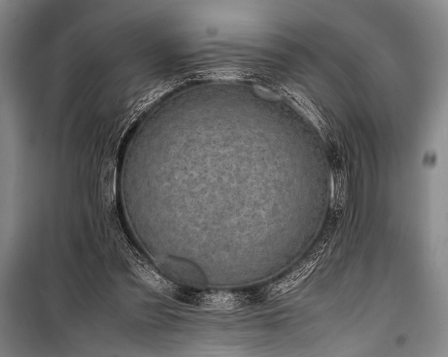 X0000101220301200806271454