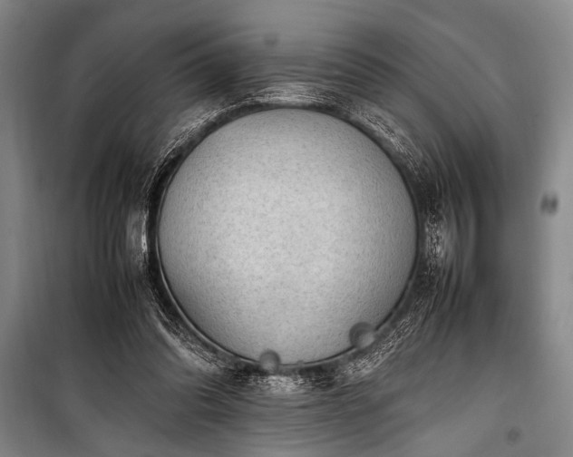 X0000101220302200806271454