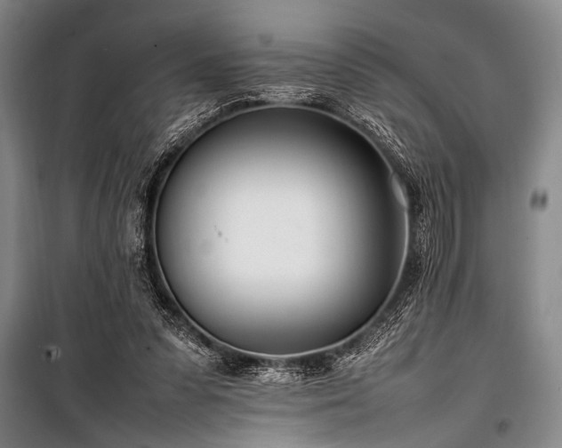 X0000101220303200806271454
