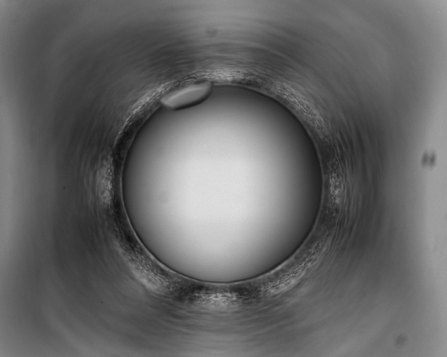 X0000101220304200806271454
