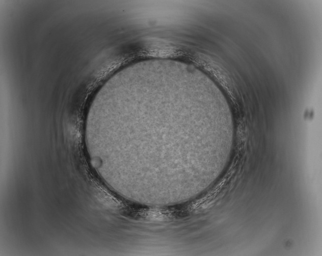 X0000101220305200806271454
