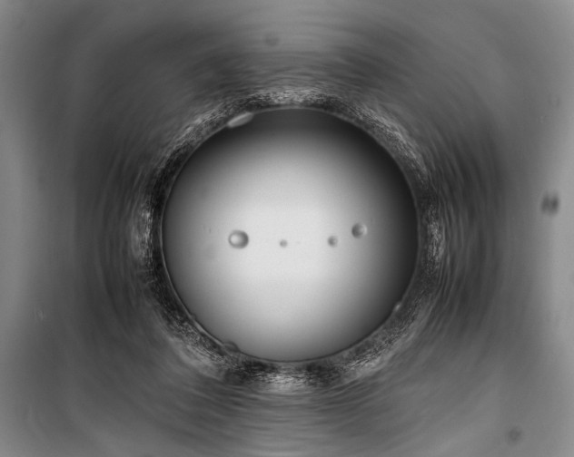 X0000101220308200806271454