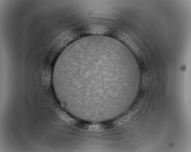 X0000101220309200806271454