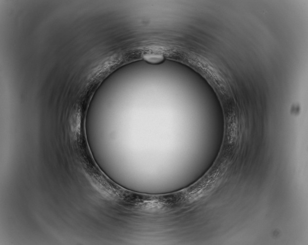 X0000101220310200806271454