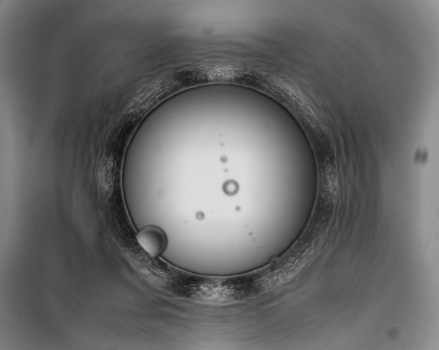 X0000101220311200806271454