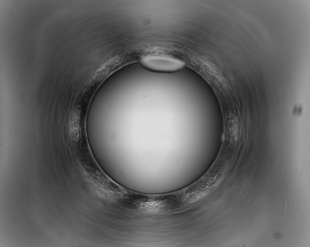 X0000101220312200806271454