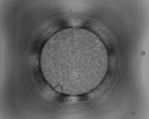 X0000101220313200806271454