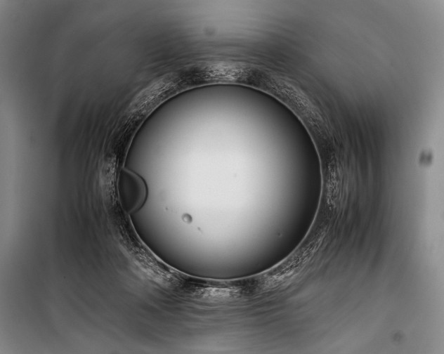X0000101220314200806271454
