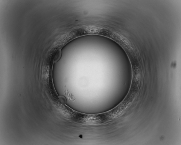 X0000101220315200806271454