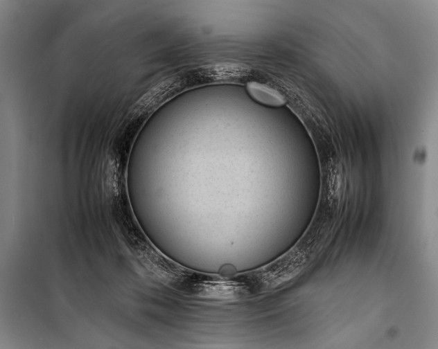 X0000101220316200806271454