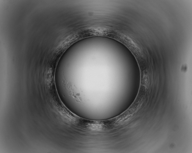 X0000101220318200806271454