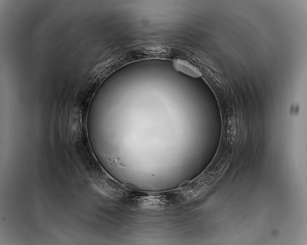 X0000101220320200806271454