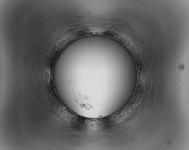 X0000101220321200806271454