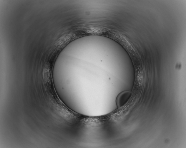 X0000101220322200806271454