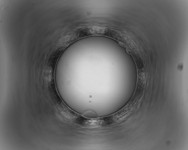 X0000101220323200806271454