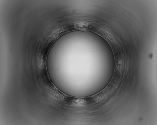 X0000101220324200806271454