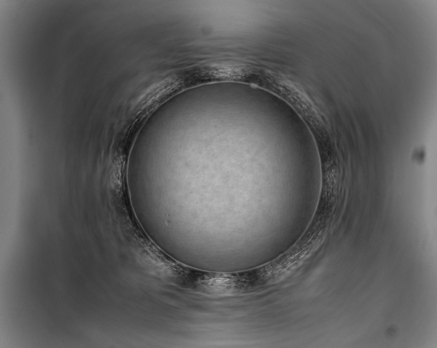 X0000101220325200806271454