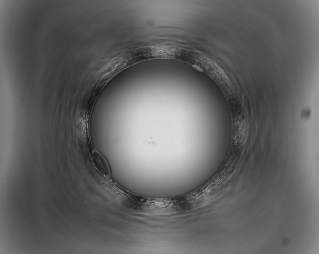 X0000101220329200806271454