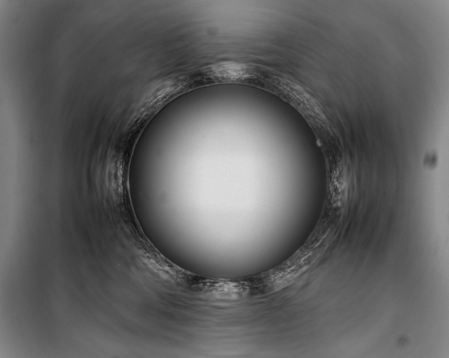 X0000101220330200806271453