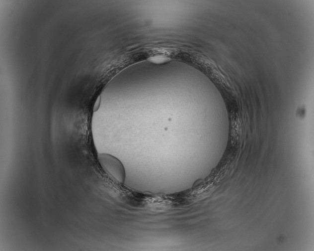 X0000101220331200806271453