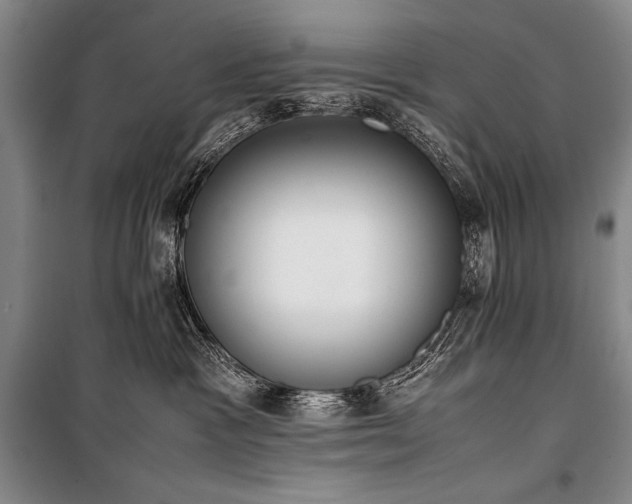 X0000101220333200806271453
