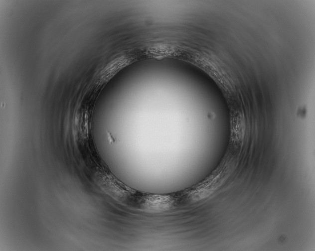 X0000101220334200806271453