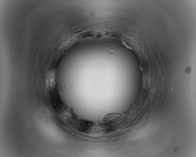 X0000101220335200806271453