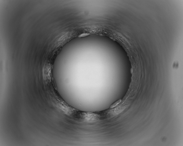 X0000101220336200806271453