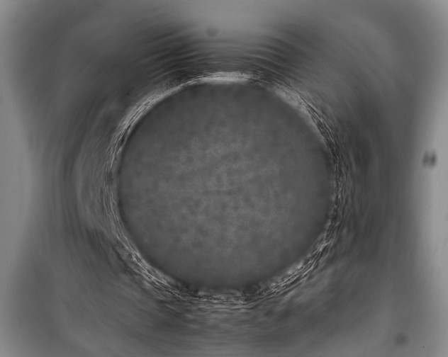 X0000101220337200806271453