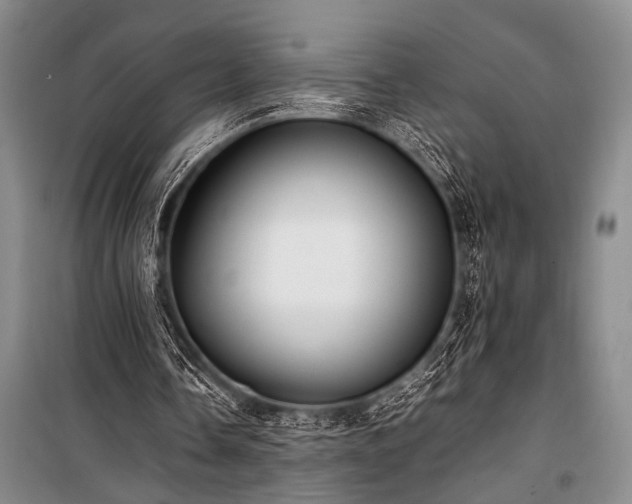 X0000101220338200806271453