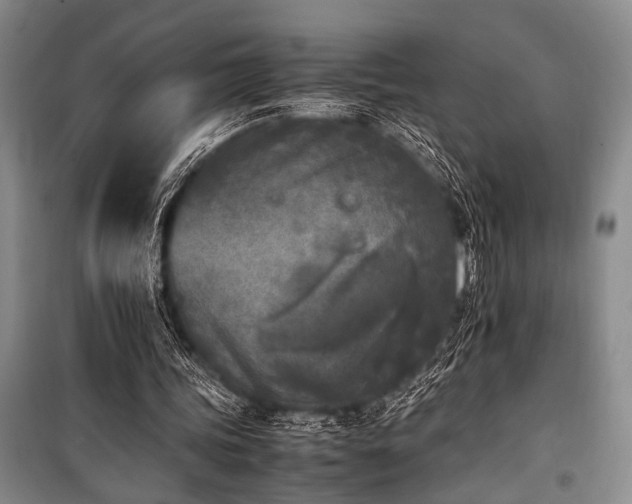 X0000101220339200806271453