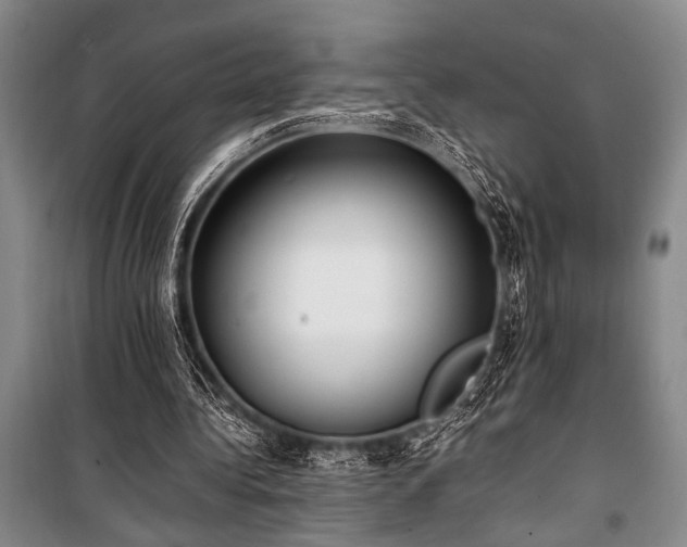 X0000101220340200806271453