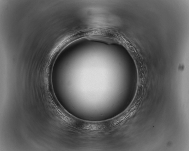 X0000101220341200806271453
