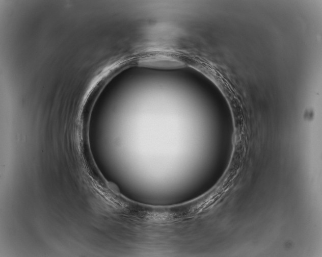 X0000101220342200806271453