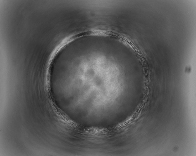 X0000101220343200806271453