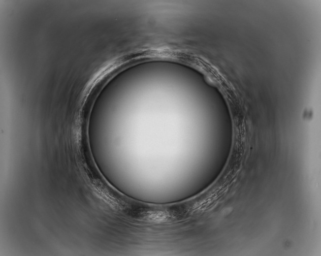 X0000101220344200806271453