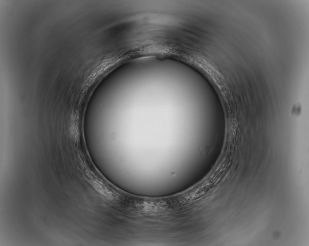 X0000101220345200806271453