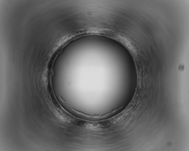 X0000101220346200806271453