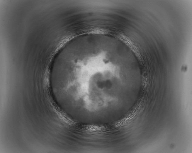 X0000101220347200806271453