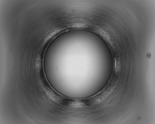 X0000101220348200806271453