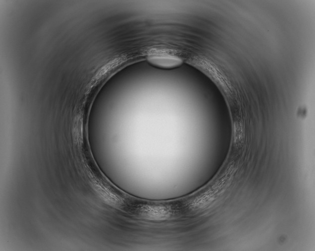 X0000101220349200806271453