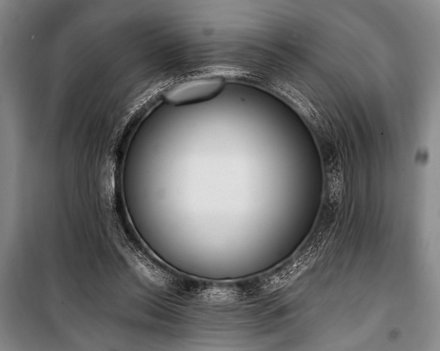 X0000101220350200806271453