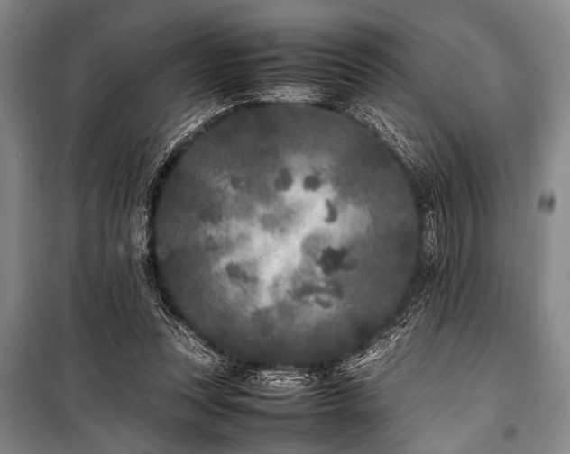 X0000101220351200806271453