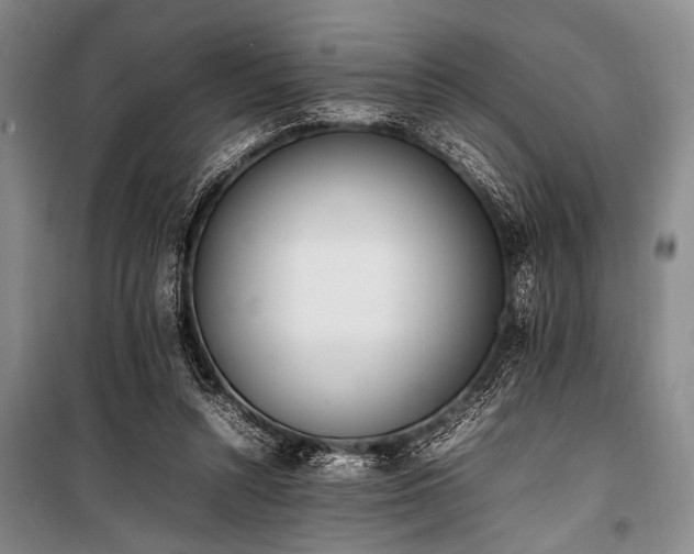 X0000101220352200806271453