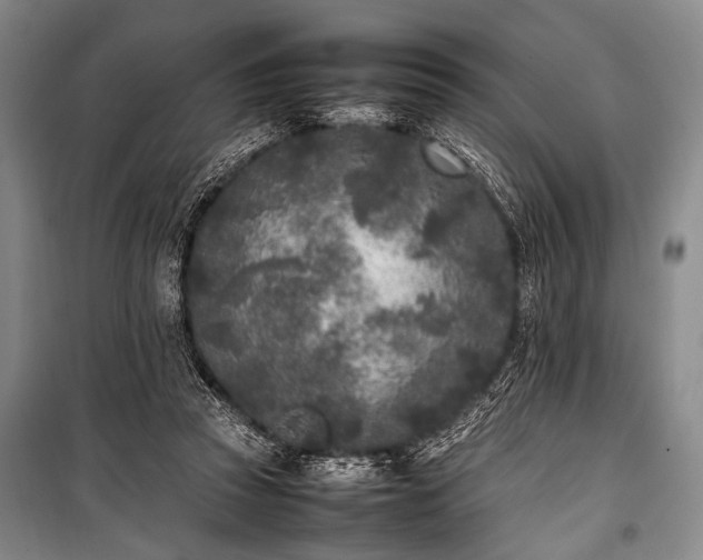 X0000101220353200806271453