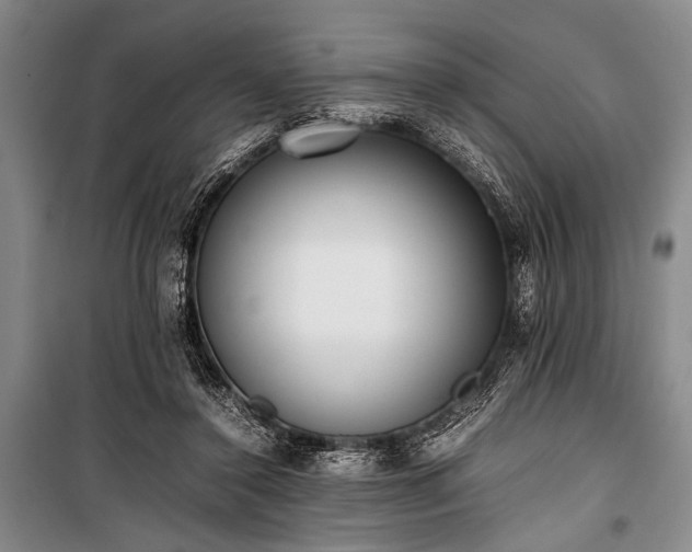 X0000101220356200806271453