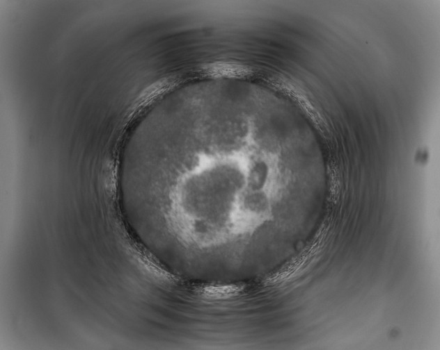 X0000101220357200806271453