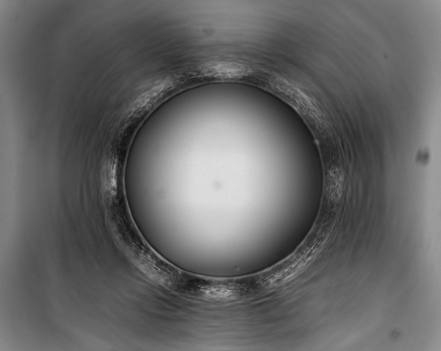 X0000101220358200806271453