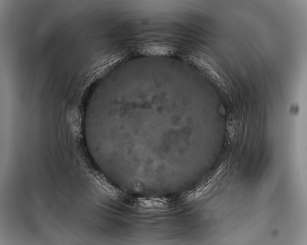 X0000101220359200806271453