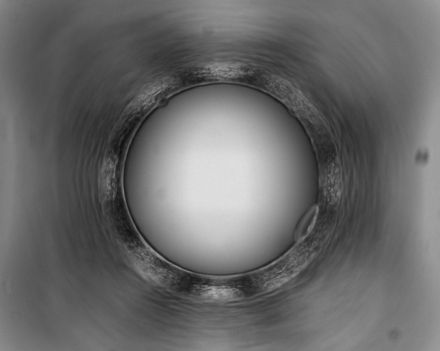 X0000101220360200806271453